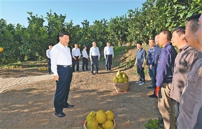 1764061765924036875.jpg 12.jpg